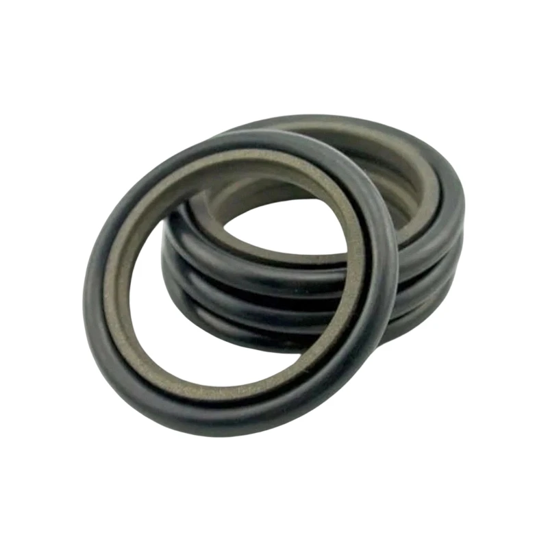 PTFE ধাপ রড সীল