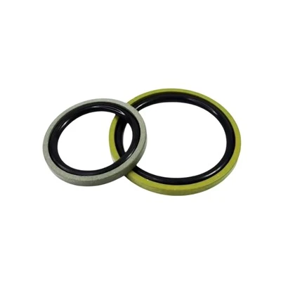 PTFE ব্রোঞ্জ ভরা SPGO পিস্টন সীল