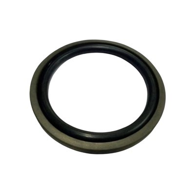 PTFE গ্লাইড পিস্টন সীল