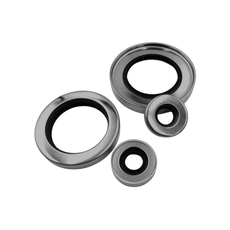 Stainless Steel Case PTFE Shaft Seal-2