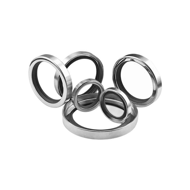 স্টেইনলেস স্টীল কেস PTFE খাদ সীল